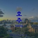 시드니 천문대 노을 뷰포인트 명당 후기 (feat. 퀸빅토리아빌딩, 오크베리)