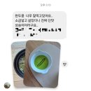 계화산농장.꽃.농산물.잡화 | 완두콩 4일(목)에 발송할게요.완두콩 철이 짧으니 주문을 서둘러주세요.1년치 넉넉히 쟁이세요.