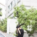 퍼스트 데일리
