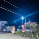 삼랑진커피(sa.m.r.a.n.g.j.i.n. coffee) 이미지