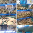 은동이네 이미지