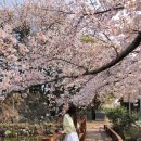 대흘보건진료소 이미지