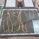 봉의산유통 | 코스트코 추석선물 답사 후 결정한 후기!