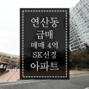 SK선경 공인중개사사무소 이미지