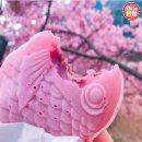핑크핑쿠 네이버블로그