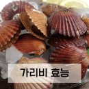가리비