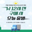 골드에그랑 이미지