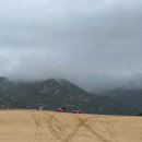 자라목장 이미지