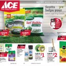 [ 하와이 쇼핑, 생활상점 ] "ACE Hardware"(집 수리/인테리어 전문점) :: 세일정보 - 2021년 3월 1일 ~ 31일 이미지