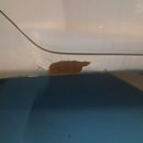 자유자동차공업사 이미지