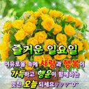 휴일이자청명인 이미지