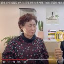 베스트 인셀덤 이미지