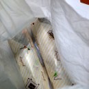 옆구리터진올레김밥
