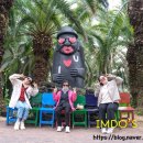 스테이모심 제주펜션 이미지