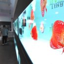 시흥 아쿠아펫랜드 경기etv뉴스
