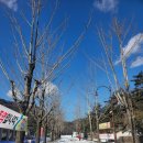 문경새재관리사무소 내 화장실 | 겨울 문경 가볼만한곳 눈 쌓인 문경새재 도립공원 주흘관 오픈세트장 과거길 산책