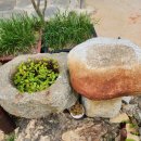 진도한옥목향민박 이미지