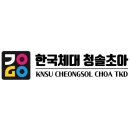 청솔태권도 - 시흥시 함송로29번길 9 | 청솔태권도