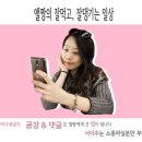 총본산경주빵 본점 | [경주빵]경주 특산물 경주 불국빵 선물 받았쩌요:)