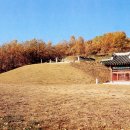 경순왕릉 Daum카페