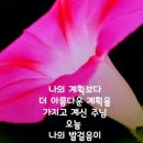 바울복사 이미지