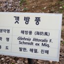 성천농장 이미지