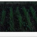 황새마을 이미지