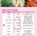 장전천3 이미지