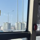 남산힐호텔 | 남산 혼놀 코스 추천(남산서울타워-백범광장공원-목멱산방)