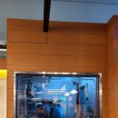 르노삼성자동차 서비스코너 초지점 | 안산 초지역 맛집 코리아나호 | 반건조 생선요리 전문 한식주점 탐방기