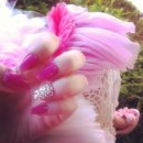 P.nail