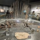 사관유치원 | 대구 아이와 갈만한 곳｜과학기술문명사관(3관) 실제 관람 후기