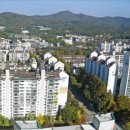 매머드공인중개사사무소 이미지