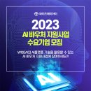 와이즈성형 서울경제