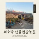 심천힐링관광농원 | 쇠소깍 산물 관광농원 제주 서귀포시 제주투어패스 솔직 후기