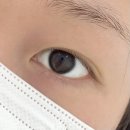 동두천 지행 디어바이빈 속눈썹펌 후기
