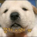 아뽀
