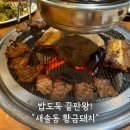 황금돼지 | [ 화성 새솔동 맛집 ] 돼지갈비 끝판왕 &#39;황금돼지&#39; 솔직 후기