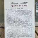 중동옛집 티스토리