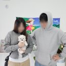1821 | 양주말티푸분양 멍냥스타 강아지분양 후기 (1821)