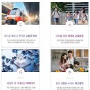 양우메디칼 네이버블로그