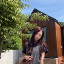 웰컴투송계리 이미지