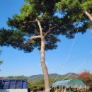 진주팜농약 이미지