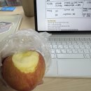 멘토안경 | 🏅📚INTP의 대학생활📦🛍️9월 넷째주~ 일상