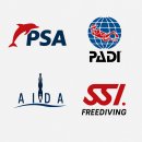 (주)퍼스트코 | 대전 프리다이빙 PSA 레벨2 자격증 취득 강습 1일차 후기