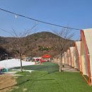 80 | 리틀80 후기