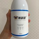 개깔끔 이미지