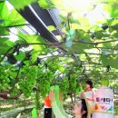 수분경로당 이미지