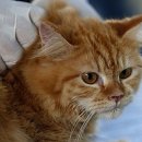 재진축산 이미지