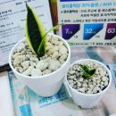 제이플러스 메디칼 이미지